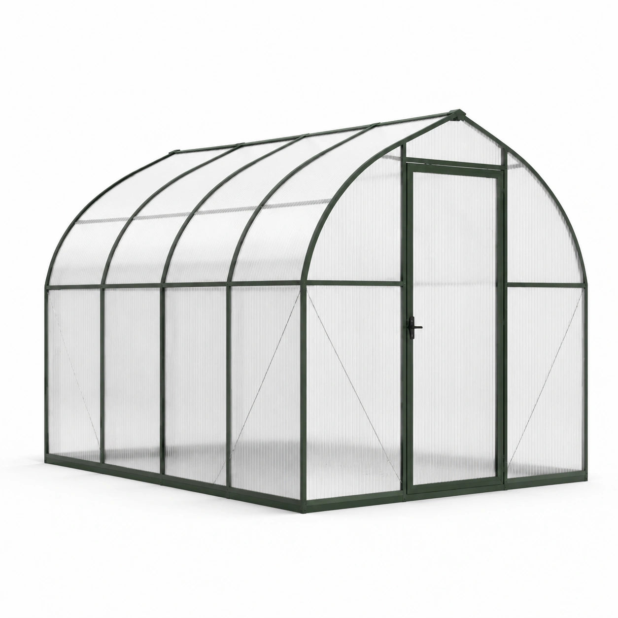 Serre de jardin en polycarbonate et aluminium, 300x190x195 cm, cadre vert foncé